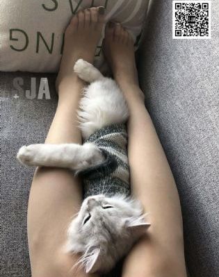 奔跑吧兄弟第十三季免费观看_HD神马影院在线